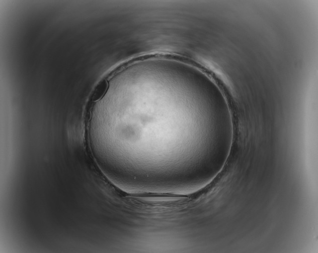 X0000088491316200705291639