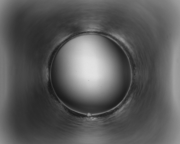 X0000088491317200705291639