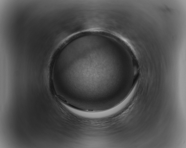X0000088491319200705291639