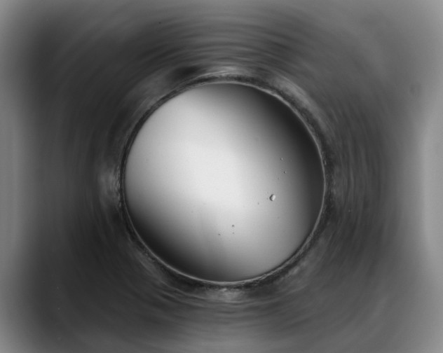 X0000088491321200705291639