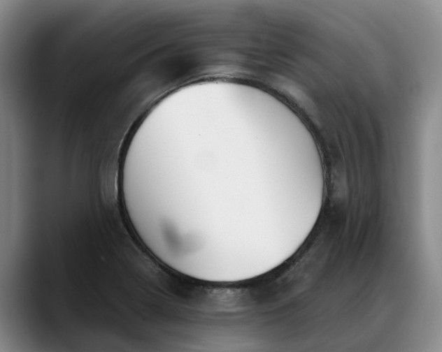 X0000088491322200705291639