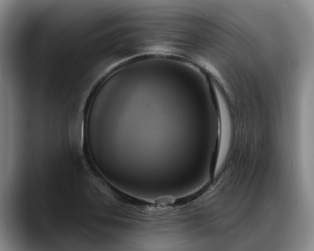 X0000088491323200705291640
