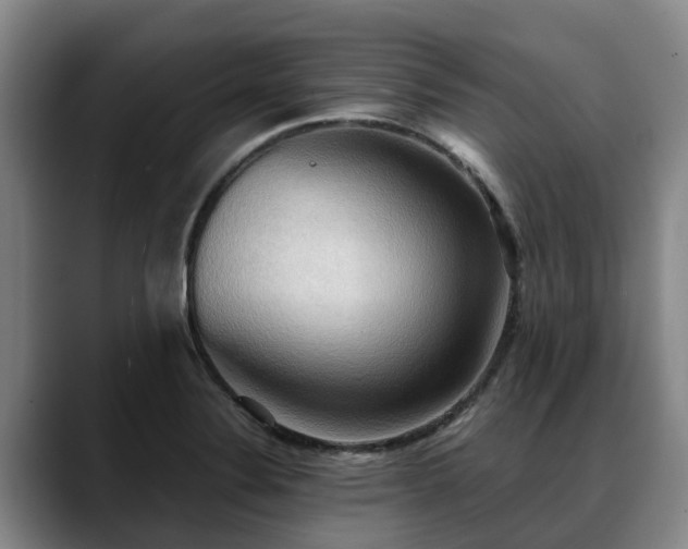 X0000088491324200705291640