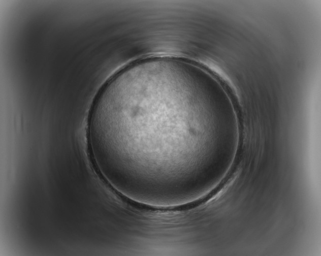 X0000088491325200705291640