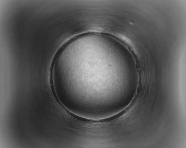 X0000088491326200705291640