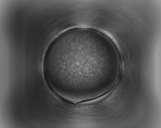 X0000088491327200705291640