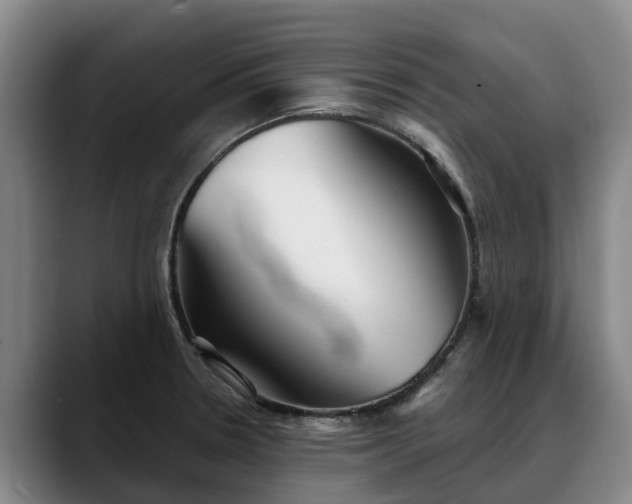 X0000088491330200705291640