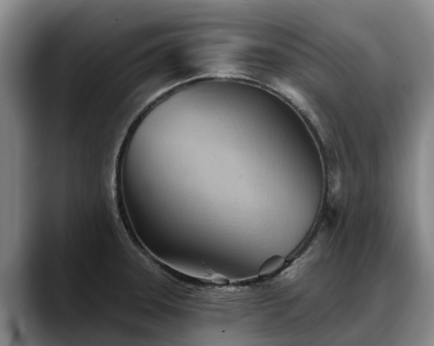 X0000088491331200705291640