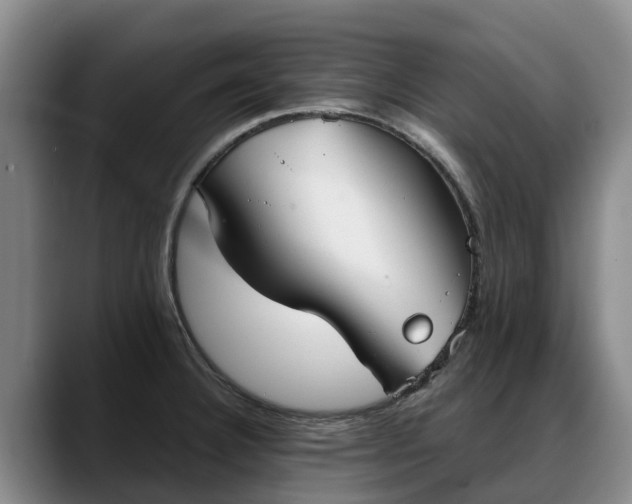 X0000088491332200705291640