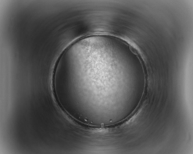 X0000088491333200705291640