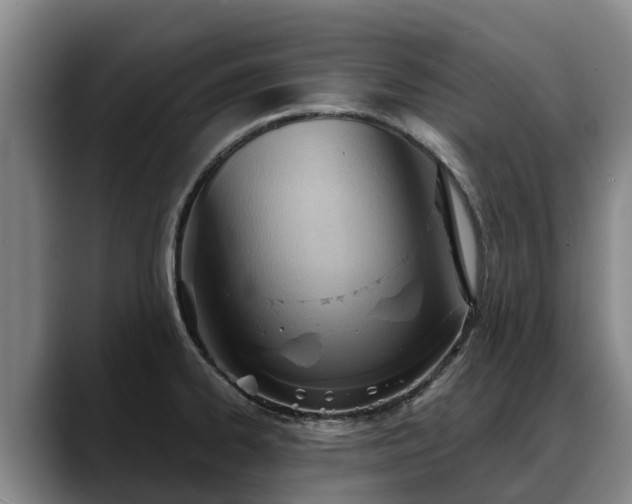 X0000088491334200705291640