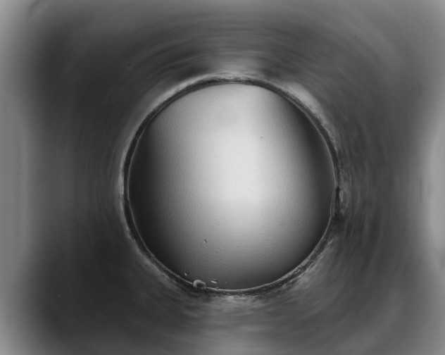 X0000088491335200705291640