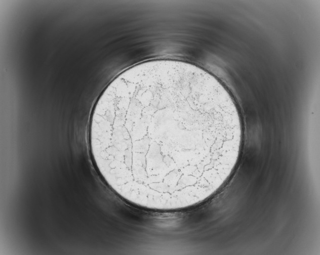 X0000088491338200705291640