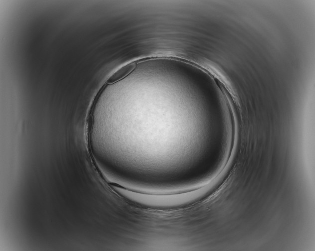 X0000088491340200705291640