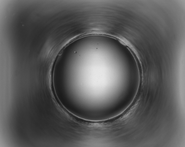 X0000088491341200705291640