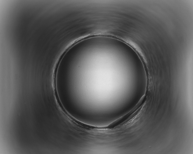 X0000088491342200705291640