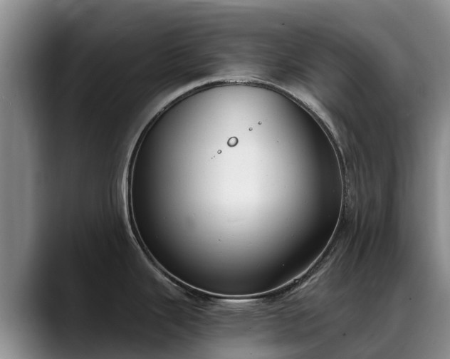 X0000088491343200705291640