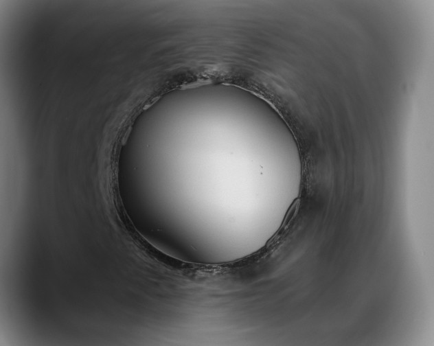X0000088491345200705291639