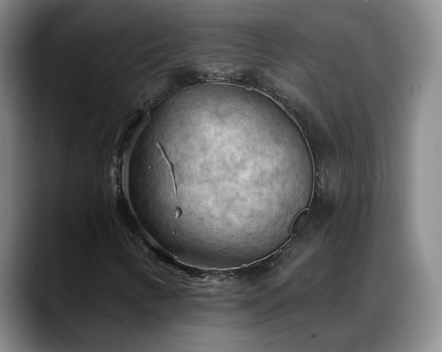 X0000088491346200705291639