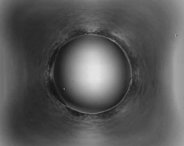 X0000088491349200705291639