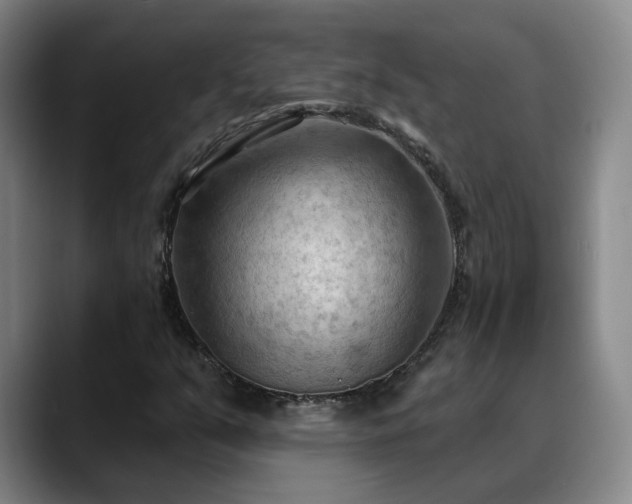 X0000088491351200705291639