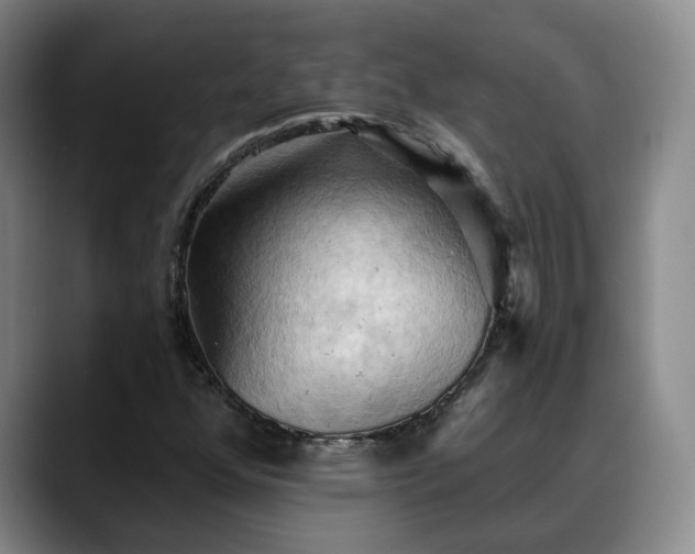X0000088491352200705291639