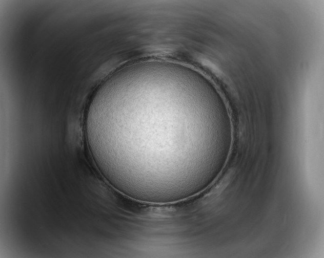 X0000088491354200705291639