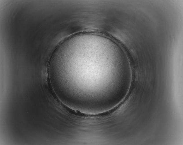 X0000088491355200705291639