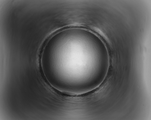 X0000088491356200705291639