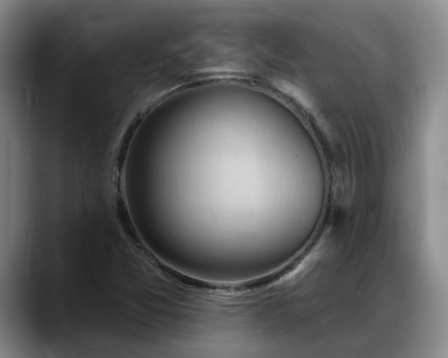 X0000088491357200705291639