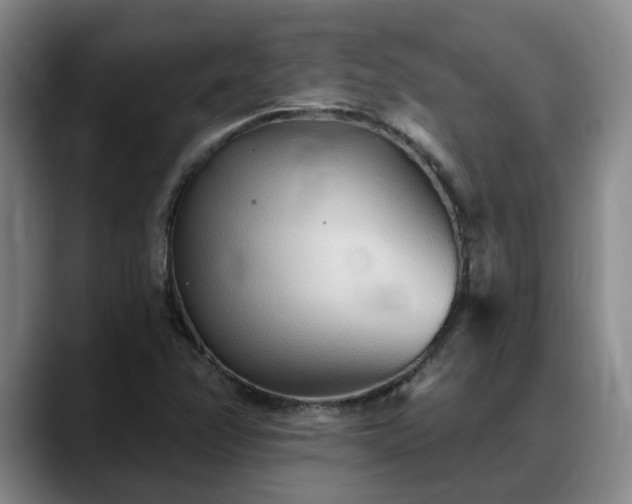 X0000088491358200705291639