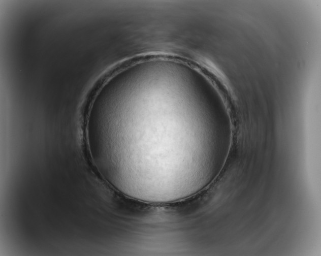 X0000088491360200705291639