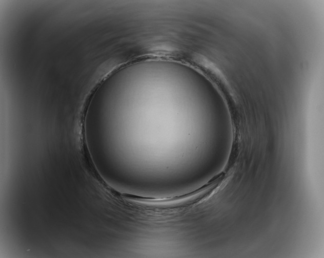 X0000088491362200705291639