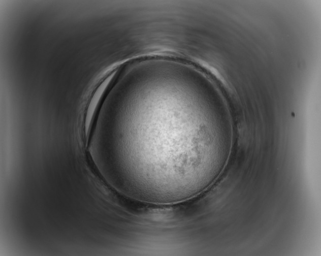 X0000088491363200705291639