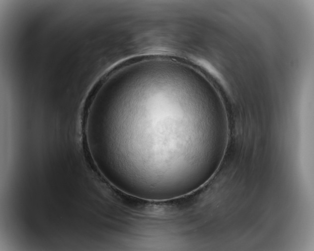 X0000088491364200705291639