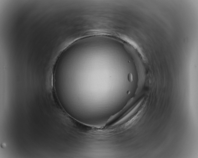 X0000088491365200705291639