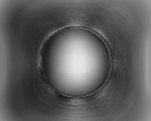 X0000088491366200705291639