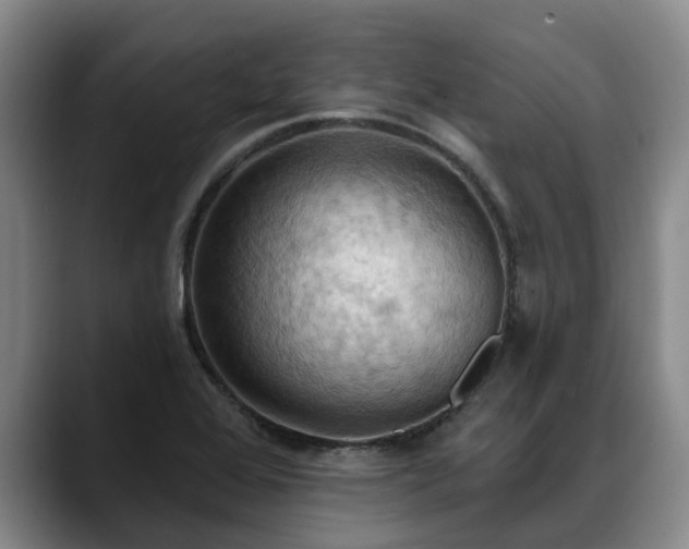 X0000088491368200705291639