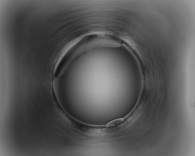 X0000088491369200705291639