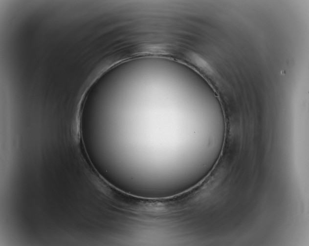 X0000088491370200705291639