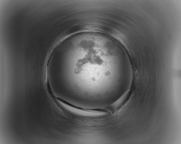 X0000088491371200705291639