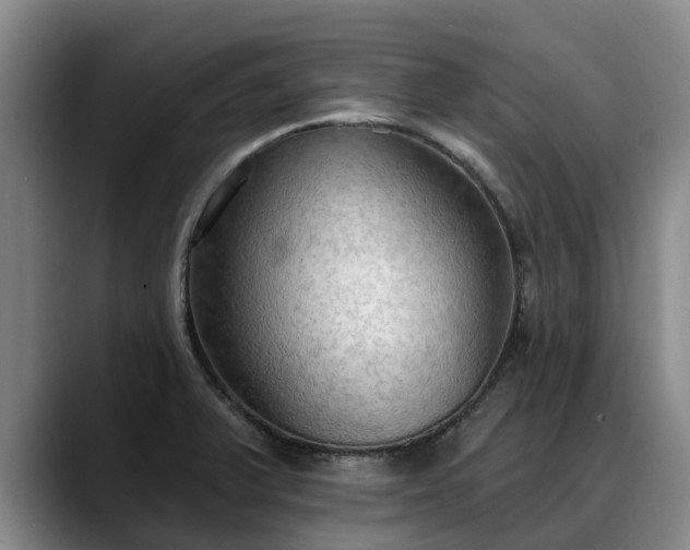 X0000088491375200705291639