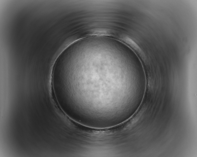 X0000088491378200705291639