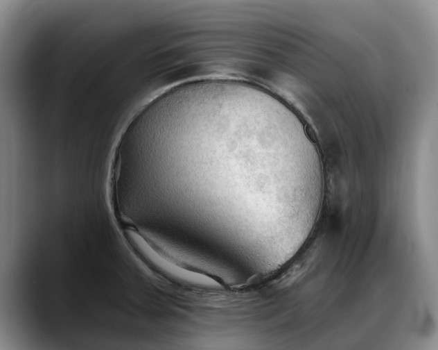 X0000088491379200705291639