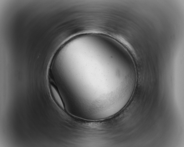 X0000088491380200705291639