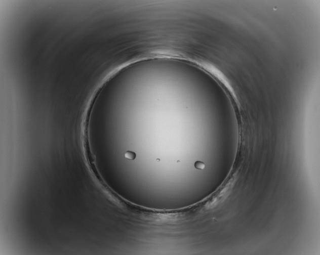 X0000088491381200705291639