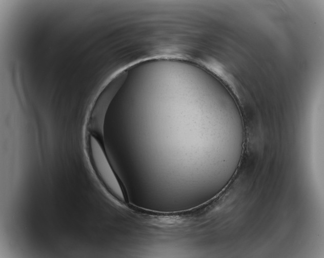 X0000088491383200705291639