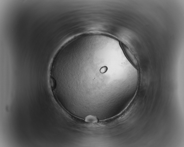 X0000088491384200705291639
