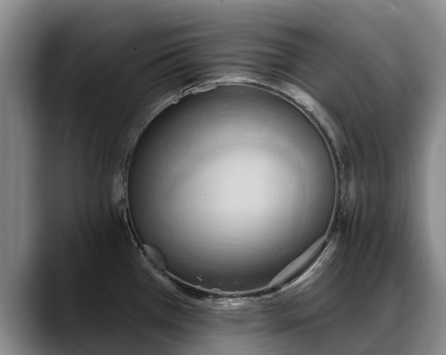 X0000088491385200705291639