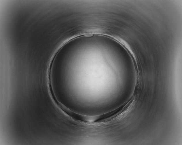 X0000088491389200705291639